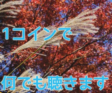 1コインで、夜ちょっと寂しいときにお話  聞きます 眠れない夜ってありませんか？ちょっと生身の話してみませんか? イメージ1