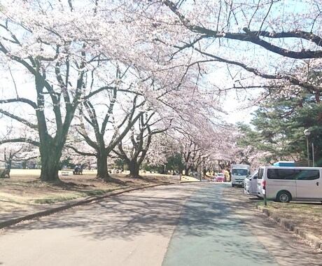 蔵王霊園のお墓参りお掃除代行させて頂きます 真心を込めてお墓参りと清掃させて頂きます イメージ1