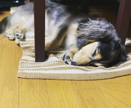 暇な時、不安な時、夢を語りたい時、お話聞きます お悩み相談から雑談、暇つぶしまで、何でも来い!です。 イメージ1