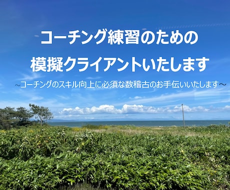 コーチング練習のための模擬クライアントいたします コーチングのスキル向上に必須な数稽古のお手伝いいたします イメージ1