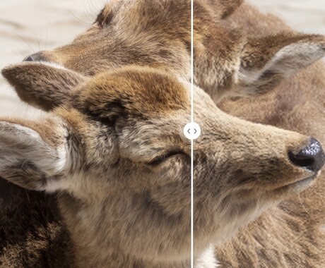 AIで写真プロのクオリティに鮮明化します 「その写真、諦めないで。AIが最高の1枚に変えます。 イメージ2