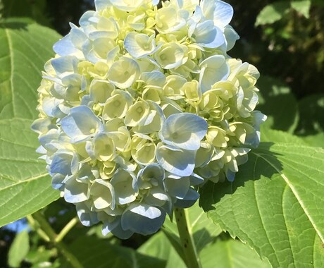 今話したいこと、吐き出したいことお聞きします すっきりしたいあなたの心の整理お手伝いします イメージ2