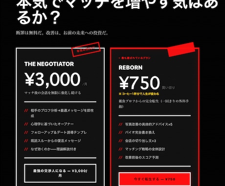Stripe決済をあなたのサイトに導入します 買い切り・サブスク両対応。本番稼働実績あり イメージ1