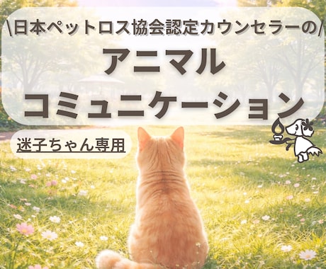 迷子のペットちゃんとお話します うちの子の“いま”を知りたい方へ｜アニマルコミュニケーション イメージ1