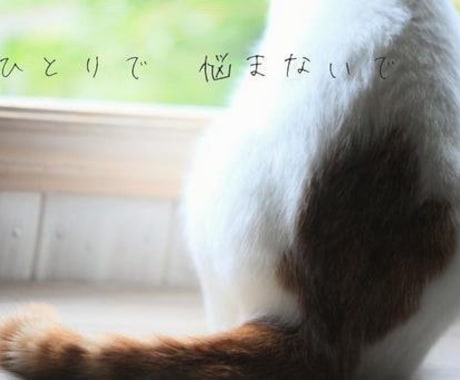 脱走した猫の探し方を状況別に具体的にお伝えします 初動で発見率は大きく変わります。まずは落ち着いて相談を イメージ1