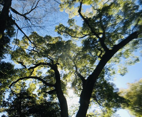 あなたの人生戦略を一緒に練ります 納得ある選択・決断までのフォローワー及びパートナーです イメージ1