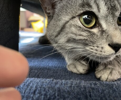 競艇激アツ予想お届けします 展示80パー、データは補填程度で使用してます！ イメージ1