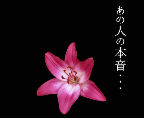 あの人が隠し持つ全本心タロット鑑定します 淡々と、嘘偽りなく。あの人の本音と二人の結末を、事実のみ イメージ1