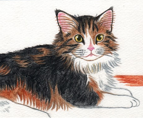 猫さんの似顔絵描きます はがき大、手描きの原画をお届けします！ イメージ2
