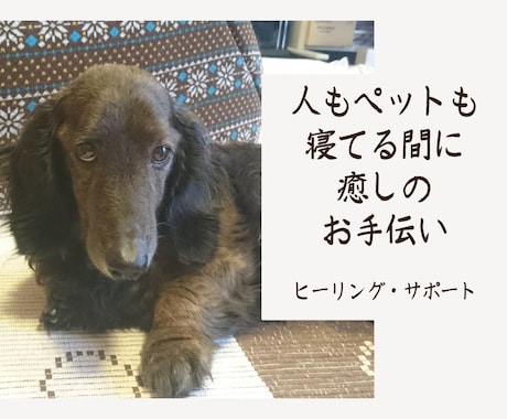 人もペットもストレスMax！寝てる間に送ります ヒーリングサポートで癒し、感じた事をアドバイスします。 イメージ2