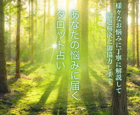 あなたの悩みに届くタロット占いを御提供します 様々なお悩みに丁寧に解説して問題解決に御協力します イメージ1