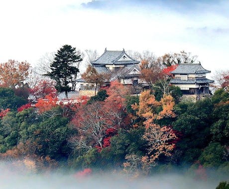 写真付きInstagram投稿を代行します 写真と文章で世界観のある投稿します イメージ1
