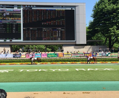 初心者必見！盛岡クラスターCの軸馬教えます データ馬券、血統、ワイド馬券で楽しく競馬観戦！ イメージ1