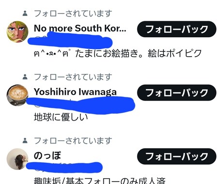 Twitterの日本人フォロワー増加を応援します 格安！補填あり！凍結リスク無！ Twitterﾌｫﾛﾜｰ増加 イメージ2