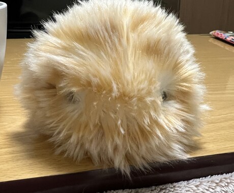 何でも聞きます 一人で抱え込まないで。ちょっとお話ししよう！ イメージ1
