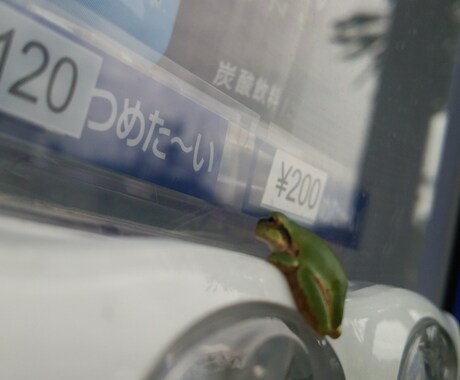 お話(*´ω｀*)聞きます 話したい時にそっと寄り添います 心を、軽くしましょう♪ イメージ1