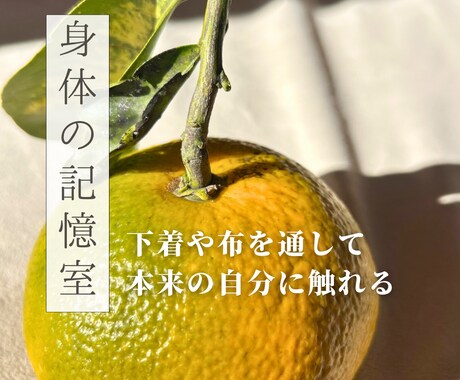 身体の声の記憶に触れるワークショップをします 超個人的アートWS「布と身体の記憶室」 下着が語る人生の物語 イメージ1