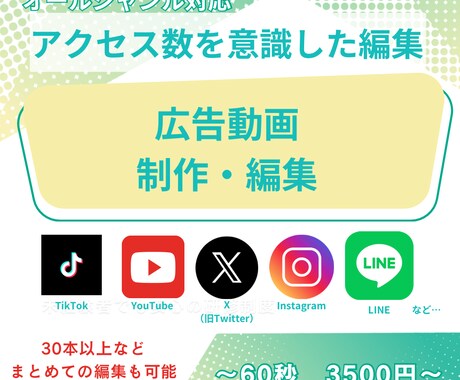 アクセス数・視聴維持率を意識した広告動画制作します 月50本以上納品実績のある動画編集チームが広告動画制作 イメージ1