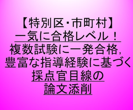 公務員試験【大卒程度全般】　論文添削します 複数試験に一発合格，豊富な指導経験に基づく論文添削支援 イメージ1