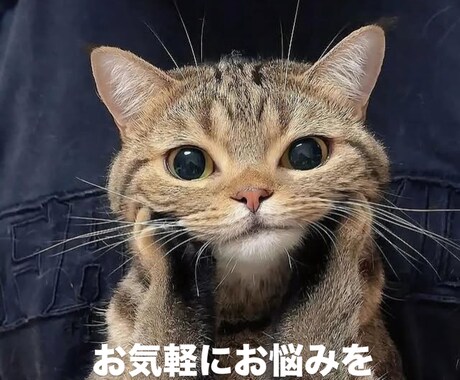 介護、美容、健康等に対してお話お聞きします 介護事業とエステ事業経営と走り方教室などもしております。 イメージ1