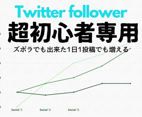 超【初心者専用】★フォロワー★増加方法おしえます Twitterフォロワー増加のアドバイス イメージ1