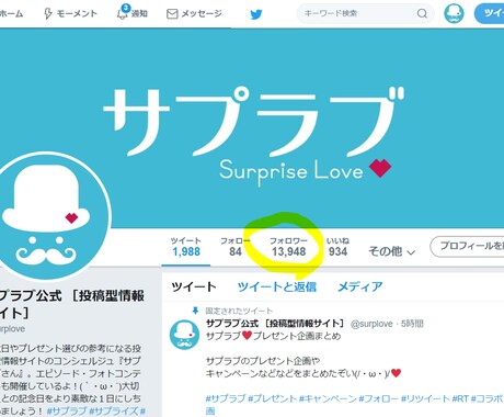 Twitterフォロワー数1000人増加保証します 【フォロワー1万人超の実績】SNSを広告媒体にしたいあなたへ イメージ1