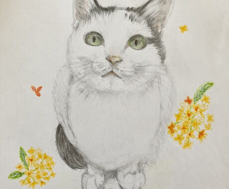 あなたの大切な猫ちゃんのイラストを描きます やさしい繊細な画風でねこちゃんのイラストをお届けします！ イメージ2