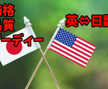 格安で高品質！！英⇔日の翻訳をやります 英翻訳で失敗したくない方へ。１文字１円 イメージ1
