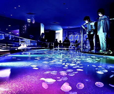綺麗なお魚の写真を買うことができます 水族館の熱帯魚やクラゲ、金魚などです。 イメージ2