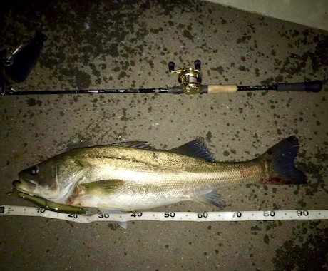 デジタル魚拓作成します 釣った魚の写真からデジタル魚拓を作成。携帯で保存可能 イメージ2