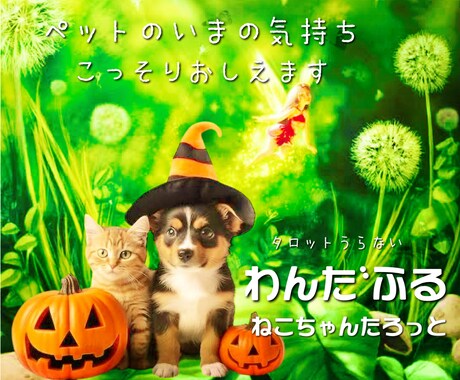 愛しいペットのお気持ちを視て貴方様にお伝えします ペットの気持ち何を想っているか✨ペットロス✨猫ちゃんタロット イメージ1