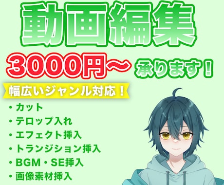動画編集します 文字起こしやカットなど簡単な作業ならお任せください イメージ1