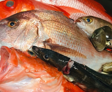 魚を上手に捌けるようになりたい方にご教授します リアルタイムでのレッスンになるのでその都度ご質問にお答え可能 イメージ1