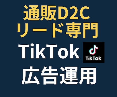 通販・リード専門！TikTok広告運用します 【実績50社超】目標CPA1/2・CV数250%成長！ イメージ1