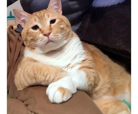 ちょっと、聞いて！というお話しなんでも聞きます こころのモヤモヤ吐きだしてすっきりしましょう イメージ1