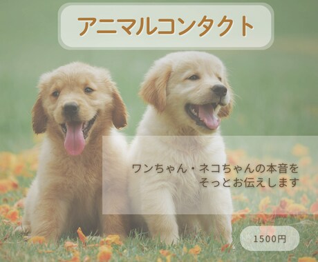 ワンちゃんの本音を丁寧にお伝えします ピュアな心に触れ家族が笑顔に　アニマルコンタクト&ヒーリング イメージ1