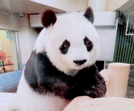 神戸のお土産選びます 他県の方などにちょっとしたお土産などをご紹介!! イメージ2