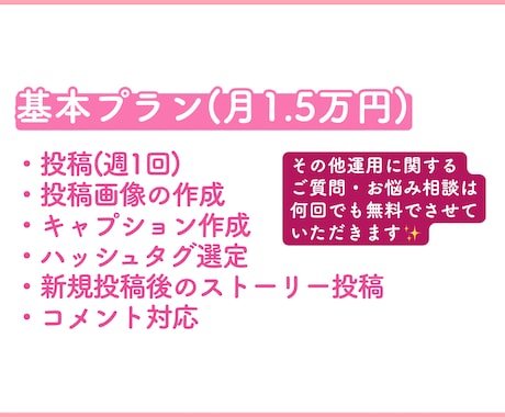 週1〜5選択◎ Instagram運用代行します フィード投稿で成果につなげる運用◎お悩み相談は何回でも無料！ イメージ2