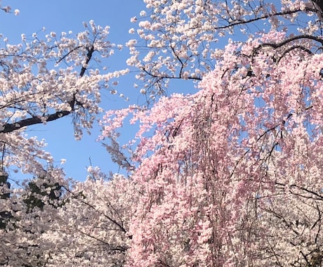 お悩み相談　お話・愚痴等、何でも拝聴します 【心理・産業カウンセラー資格保有】あなたの専属カウンセラー イメージ2