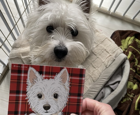 愛犬のイラストを描きます グッズ作製の利用OK 相談承ります イメージ1