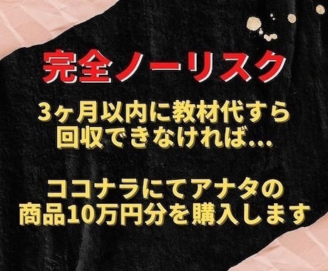 業界初！"独自手法"で自動収入を構築してもらいます 現在の収入にプラス50万円を毎月自動で稼いでいただきます。 イメージ1