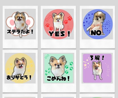 ペットのLINEスタンプを作成します 簡単ですぐ制作に取りかかれます！画像を送るだけ！ イメージ2