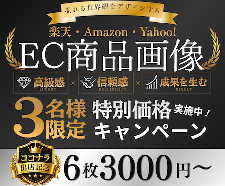 高級感で魅せる、成果の出る商品画像を制作します 先着３名様限定！お早めにどうぞ！ イメージ1
