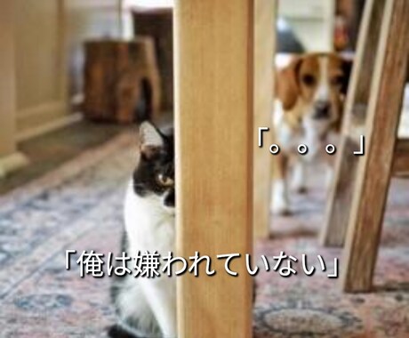気軽に使ってね♪あなたの女友達になります 女性と話す練習や恋愛相談・雑談・愚痴・優しく受けとめます。 イメージ2