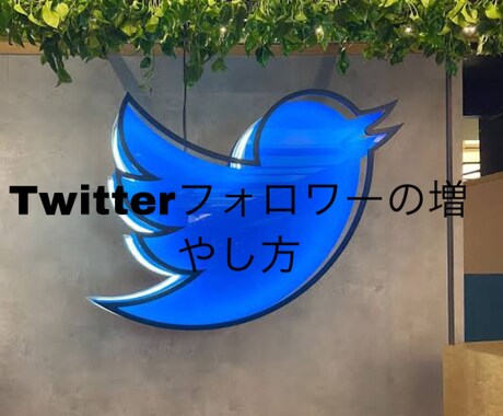 初心者向けTwitterフォロワー増やし方教えます フォロワーを増やしてTwitterを楽しめる！ イメージ1