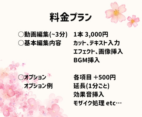 あなたの理想のショート動画、作ります 各種SNS用の縦型動画を作成します！ イメージ2