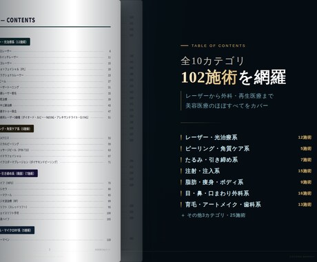 美容医療102施術ガイドを3プランで提供します エビデンスに基づく中立な美容医療ガイド。目的で選べる3プラン イメージ2