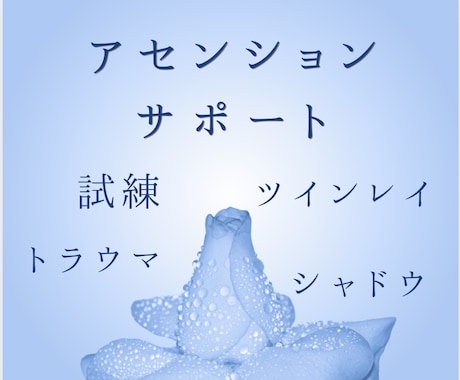 アセンションをサポートします 辛い試練、自身のトラウマ、シャドウとの向き合い方、ツインレイ イメージ1