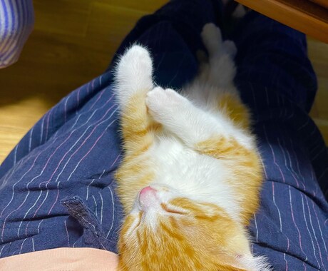 愚痴をお聞き致します ストレス発散しませんか？愚痴を思いっきりぶつけてください。 イメージ2