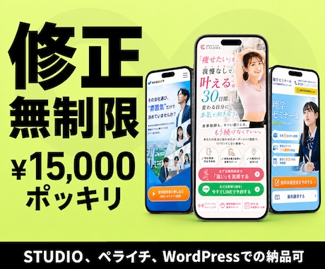 月3枚様限り！最短2日、1.5万円でLP制作します イメージ1